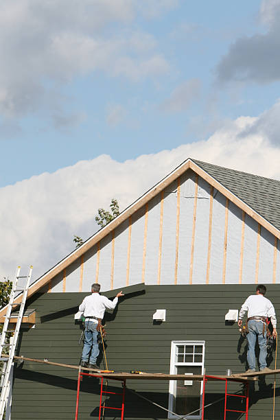 Best Aluminum Siding Installation  in Croswell, MI