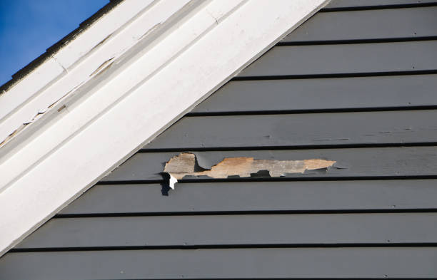Best Storm Damage Siding Repair  in Croswell, MI