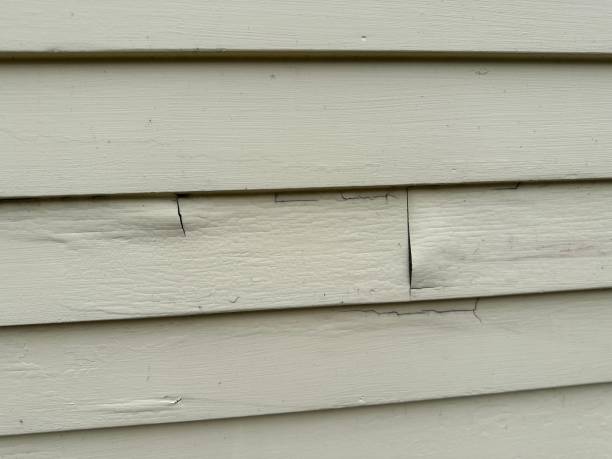 Best Custom Siding Design  in Croswell, MI
