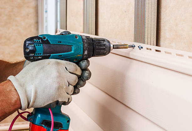 Best Insulated Siding Installation  in Croswell, MI